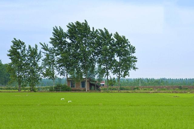 　優(yōu)雅的歐式三層自建別墅，優(yōu)雅的風(fēng)格，時(shí)尚的設(shè)計(jì)，一排排落地玻璃窗給整個(gè)別墅增添了神秘。