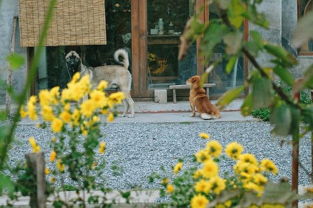 這是一個(gè)自由的私人島嶼，給居民一種舒適、溫暖和愛的感覺。在漫長的歲月里，家是一個(gè)永恒、純潔而強(qiáng)大的存在。